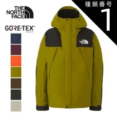 種類1：(AP)アルパインプラム/L ザ・ノース・フェイス マウンテンジャケット THE NORTH FACE NP61800 MOUNTAIN JACKET アウトドア シェルジャケット アウター フード付 登山 GORE-TEX ウェア スキー スノーボー