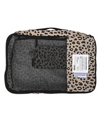 Item thumbnail for item f78f1537-25c7-49c6-80b7-d97c4963b95b