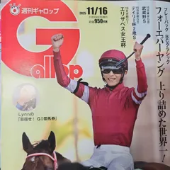 匿名！送料無料！競馬、ギャロップ 2025年11月16日