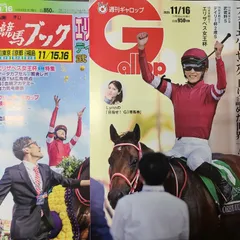 匿名！送料無料！競馬、ギャロップ、ブック 2025年11月16日 2つセット