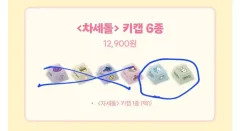 ISEGYE IDOL イセドル チャセドル tumblbug オールインワン 出品