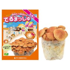 Ｓ＆Ｋ　Ｎコーティング　ハイスラフィングエンドミル　ＲＥαニック　　N-REA16X64　323-5767