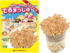 IRIS 226599 ツールケース （1個入） - メルカリ