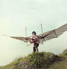 【中古】LPレコード スピッツ / 小さな生き物[重量盤]