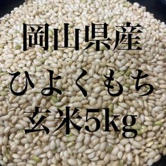 食品 松の実 800g ナッツ 送料無料 おやつ バー 間食