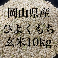 令和7年新米 京都玄米 にこまる 栽培期間中農薬不使用 10キロ - メルカリ