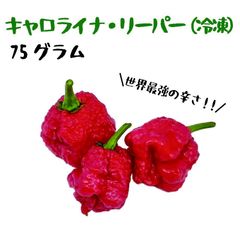 25年取木苗】【レア】ローガンベリー LY654 | Mercari