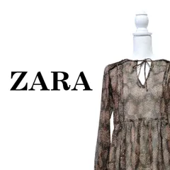 ZARA ザラ パイソン柄 ヘビ柄 シースルー 長袖 ミニ ワンピース USA Mサイズ 春 秋 冬