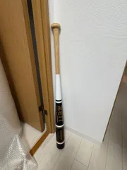 ゼット(ZETT)野球 木製 バット (トレーニング用) BTT14685H