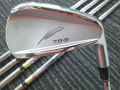 お探しの方必見❗️R300vssP770アイアン希少!DG105 R300 vss お探しの方必見❗️R300vssP770アイアン希少!DG105 R300 vss