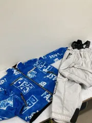 送料無料★PHENIX フェニックス★スキーウェア　上下セット　スノーボードウェア★メンズ　Lサイズ セットアップ　#71017skake