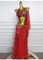 新品 未使用 新作 ベリーダンス オリエンタル衣装 薔薇 レッド ブラ スカート オーダーメイド