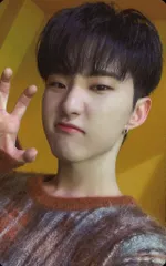 SEVENTEEN HOSHI あいのちから Weverse トレーディングカード