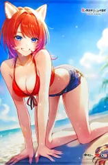 【中古】タペストリー リアス・アイトライゼ 描き下ろしB2タペストリー 「PS5/Switchソフト 紅の錬金術士と白の守護者 -レスレリアーナのアトリエ-」 ゲーマーズ購入特典