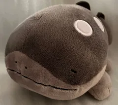 2025年最新】ドオー ぬいぐるみの人気アイテム - メルカリ