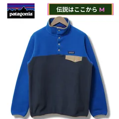 美品 パタゴニア Patagonia シンチラ SYNCHILLA スナップT フリース M ブルー×グレー ロゴ刺繍 テック系 オーバーサイズ ストリート アメカジ Y2K 古着 D562