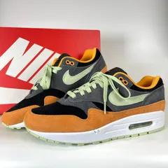 新品 Nike Air Max 1 Duck Pack 