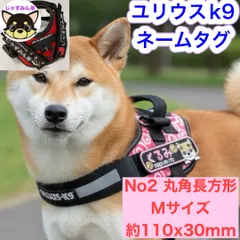 ユリウスk9 キロナイアー  ネームタグ　No2丸角長方形　 Mサイズ　約110x30mm オーダーメイド 名前刺繍ワッペン　ハーネス名札