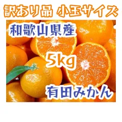 和歌山県産 有田みかん 訳あり品 小玉サイズ 5kg