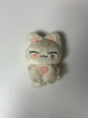 Stray Kids(ストレイキッズ・スキズ・SKZ) アイエン(I.N・ヤンジョンイン) ぬいぐるみ