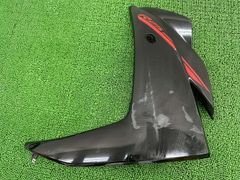 ninja250R用サイドカウル左右セット6月11日まで取り置き - メルカリ