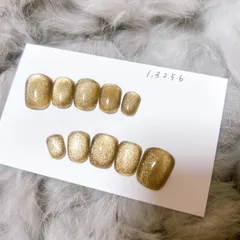 【現品/サイズオーダー】個性派カラー　マグネットネイル　ネイルチップ