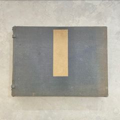 Item thumbnail for item 41bbbbbc-fcf2-4928-b274-de1ad2ee6747