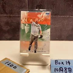 限定品 阪神タイガース ランディ・バース バット破片入り記念カード