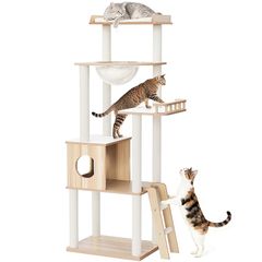 Item thumbnail for item 79afeb2b-e6c1-4612-aed0-19d5c9658036