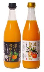 ☆完熟糖度22度岩手県産山ぶどう原液ジュース360ml 2本 - メルカリ