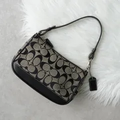 コーチ シグネチャー キャンバス / キャンバス ミニハンドバッグ アクセサリーポーチ ブラック