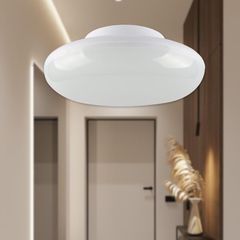 Item thumbnail for item 0fe8c304-bbeb-45e7-b1ff-429253b48d01