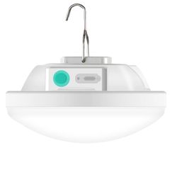 Item thumbnail for item 435d1513-9bcd-41e6-b78b-242b07ddd0f2