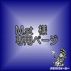 M.st様　専用ページ  本物コンチョ　バッファロー５個