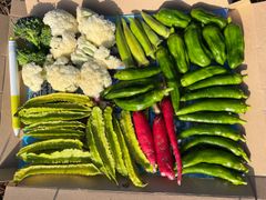 11/12収穫　今朝採り野菜詰め合わせBセット