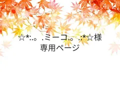 ☆*:.。.ミーコ.。.:*☆様専用ページ