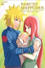 NARUTO-ナルト- 疾風伝 特別編 ~ナルト誕生~【完全生産限定版】 [DVD]