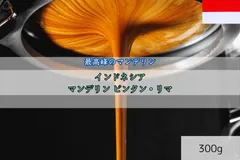 マンデリン ビンタンリマ G1 300g重厚なコクと甘い余韻がクセになる、極上のマンデリン 注文後焙煎 自家焙煎コーヒー豆 最高級 コーヒー豆 スペシャルティコーヒー豆 イプシロン珈琲　epsilonCoffee