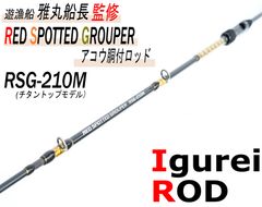 Infinity GLORIA Evo 73-210 船竿 - メルカリ