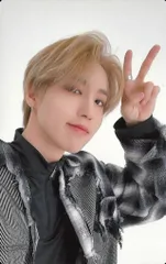 Stray Kids HAN THE SOUND 会場限定 トレーディングカード 2/25 *イタミ