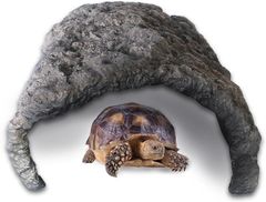 Item thumbnail for item 8b507e6b-a2cd-400b-bd38-3999da319aea