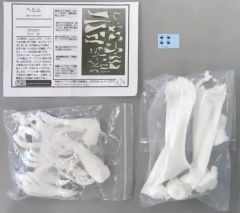 リトルマーメイド ドレスver. 勝利の女神 NIKKE ガレージキット レジン