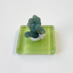 アスパラガス 市場 野菜 小物入れ コンテナ 木箱 おしゃれ インテリア