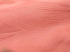 Item thumbnail for item a3eac2e1-71b6-47be-9ccd-2c9d4db81142