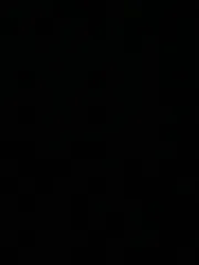 번개오랑우탄様