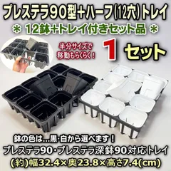 プレステラ90型(硬質スリット3号鉢相当)白鉢or黒鉢(12鉢)＋四角型枠ハーフトレイセット×1セット＊多肉植物・塊根植物コーデックス・アガベ・サボテン・盆栽・観葉・ハオルチア・アデニウム・パキポディウム＊グラキリス・実生＊スリット鉢＠フラワーショップ江口のサムネイル