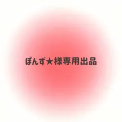 ぽんず★様専用出品