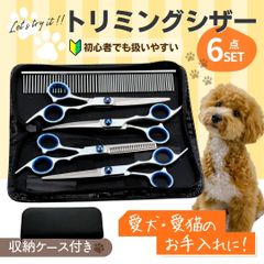 Item thumbnail for item a70fa959-022c-495d-a3cd-9c8961f7ac39