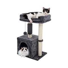 Item thumbnail for item 565603cc-837a-4645-b274-3217cf0674d5