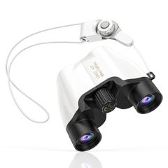 Item thumbnail for item 1a12e4fe-fdc9-47b5-8359-0e9afea300d2